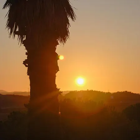 Quinta Do Vale Lemontree Nest Appartamento