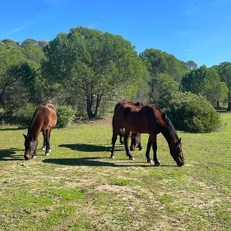 Quinta Do Vale Lemontree Nest *
