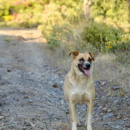 Quinta Do Vale Lemontree Nest *
