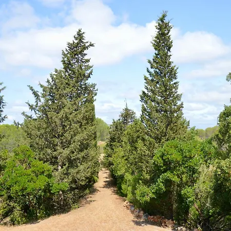 Quinta Do Vale Lemontree Nest Appartement